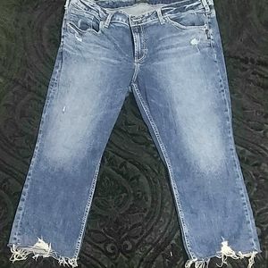 Silver Jeans "Elyse" Capri size 18